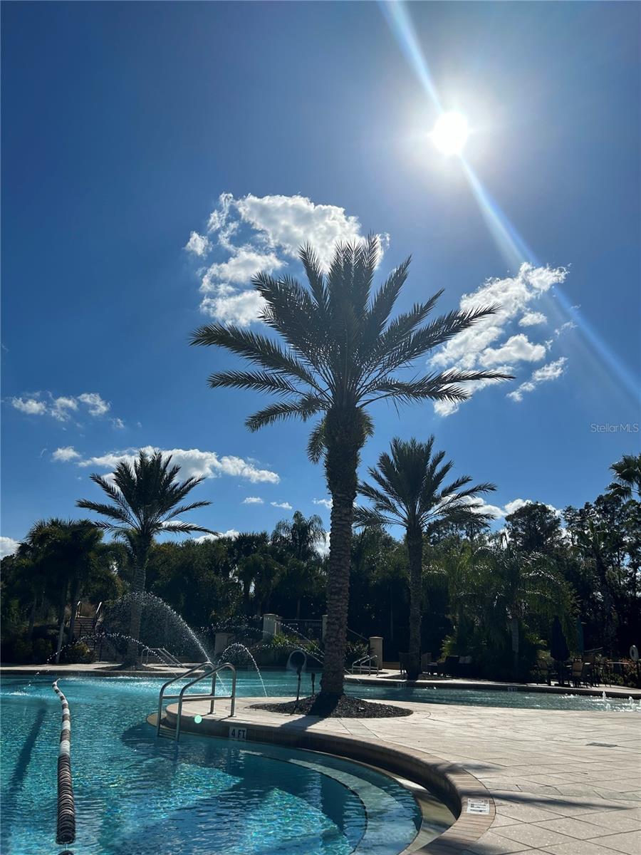 10880 CORY LAKE DR, TAMPA, FL, 33647