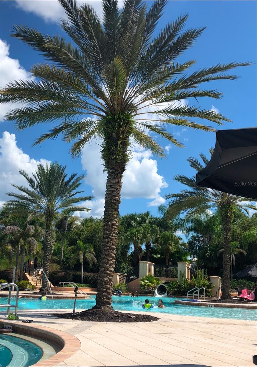 10880 CORY LAKE DR, TAMPA, FL, 33647