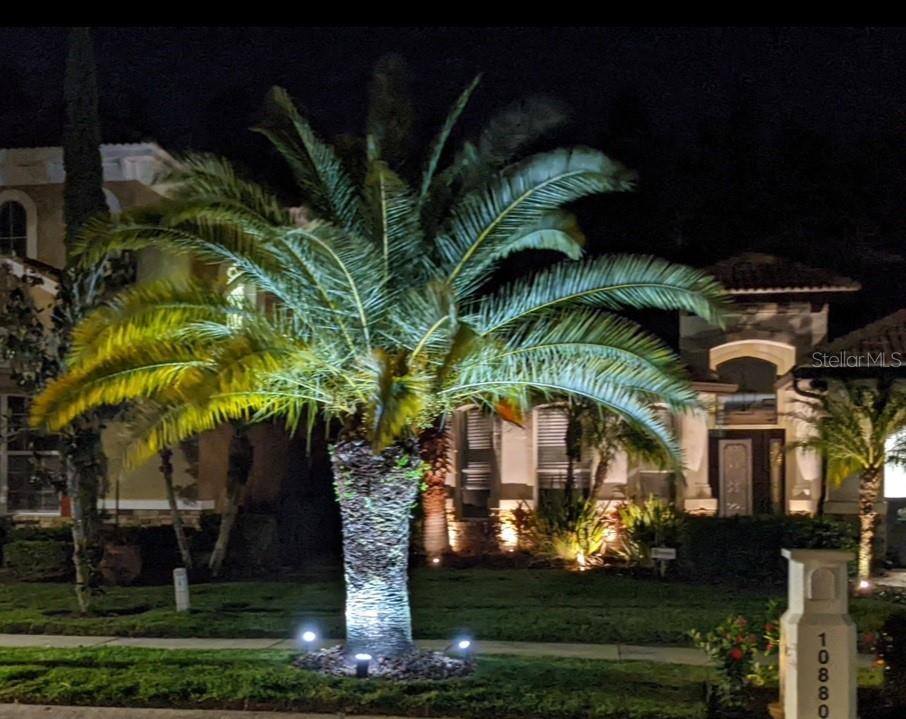 10880 CORY LAKE DR, TAMPA, FL, 33647