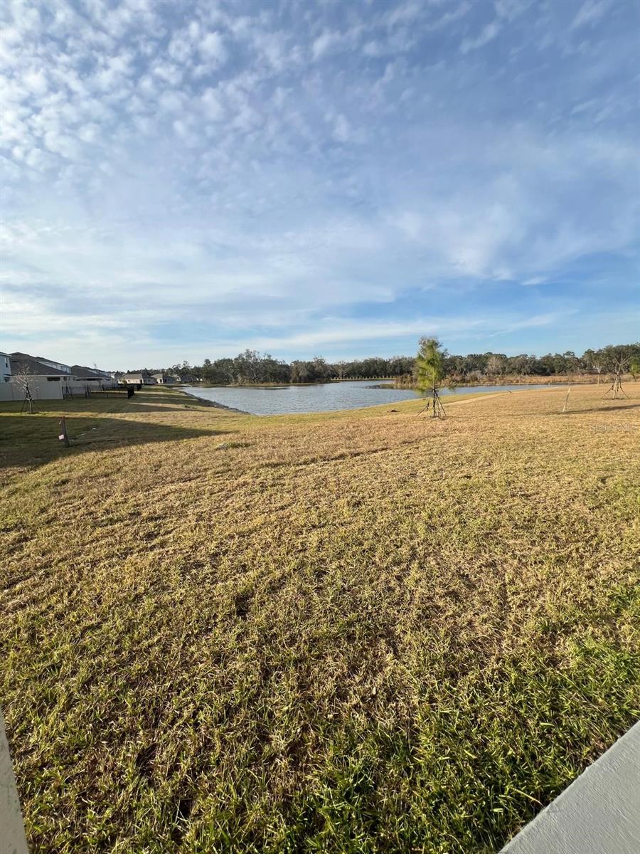 2863 WIDEWATER WAY, ZEPHYRHILLS, FL, 33541