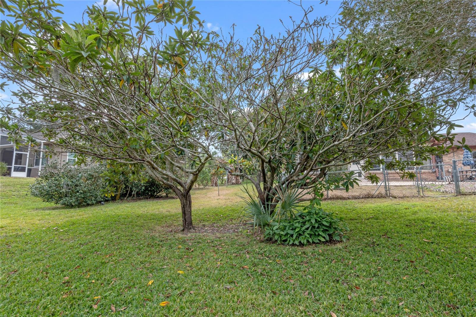 2032 GOLDEN ARM RD, DELTONA, FL, 32738