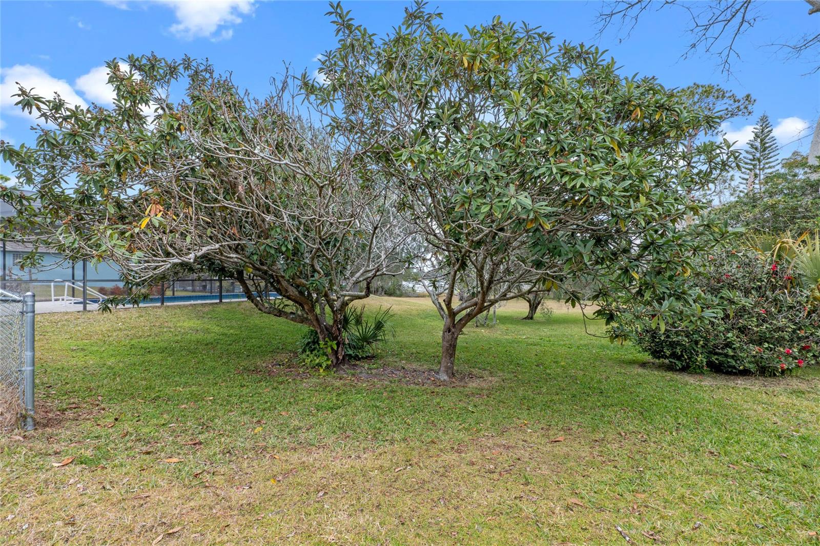 2032 GOLDEN ARM RD, DELTONA, FL, 32738