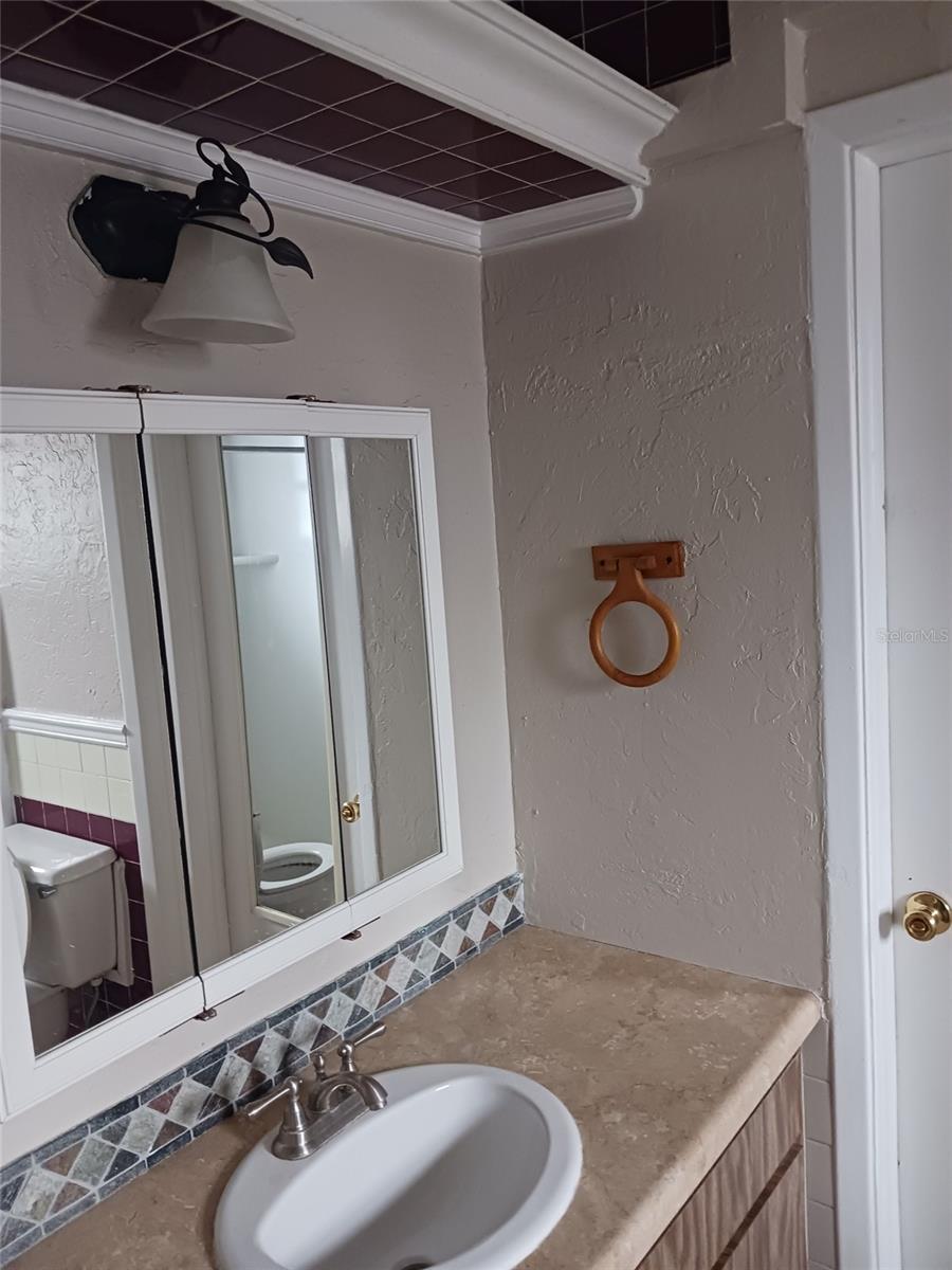 6241 ANSLEY ST, SPRING HILL, FL, 34606