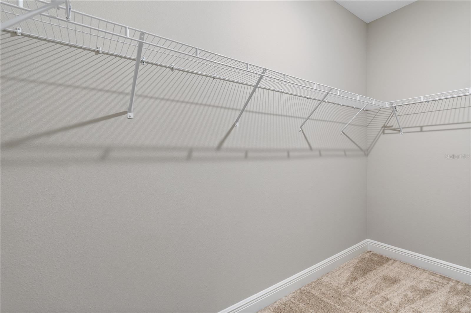 12367 BRACCO ST, WINTER GARDEN, FL, 34787