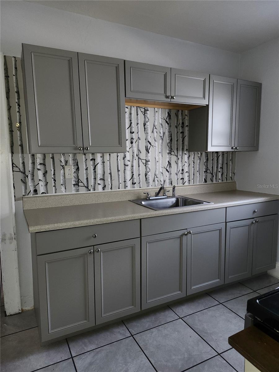 425 NW 10TH AVE, GAINESVILLE, FL, 32601