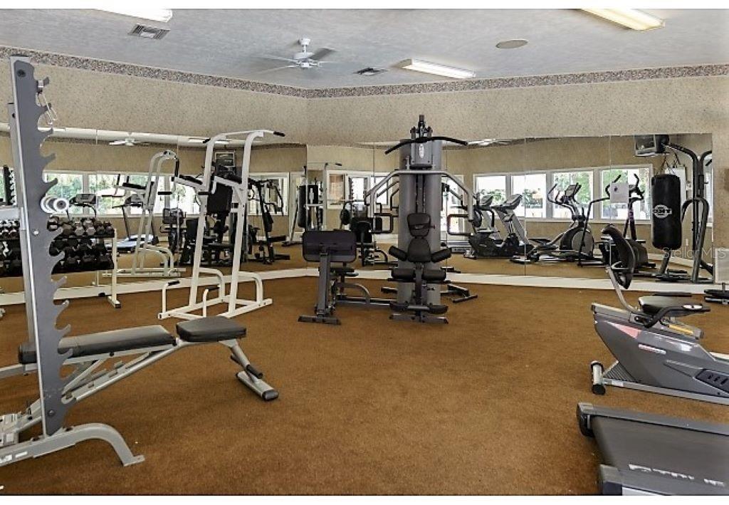 4700 SW ARCHER RD #117, GAINESVILLE, FL, 32608