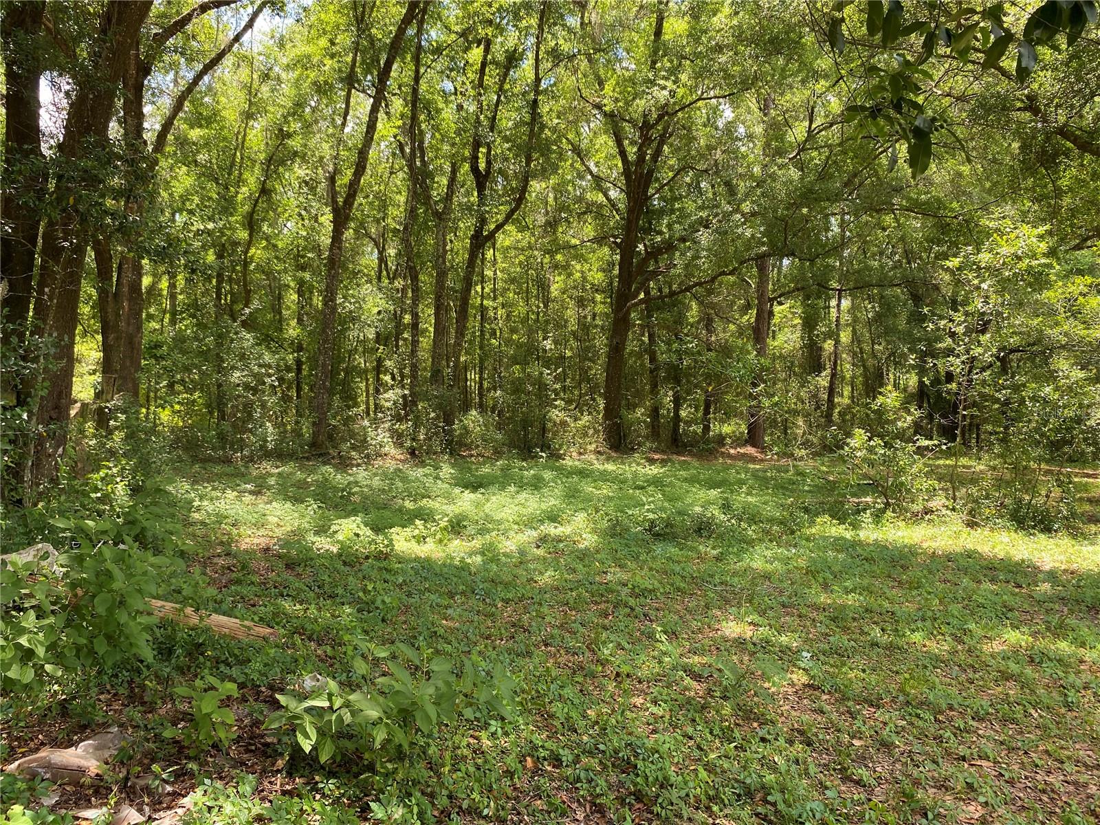 3731 SE HIGHWAY 41, MORRISTON, FL, 32668