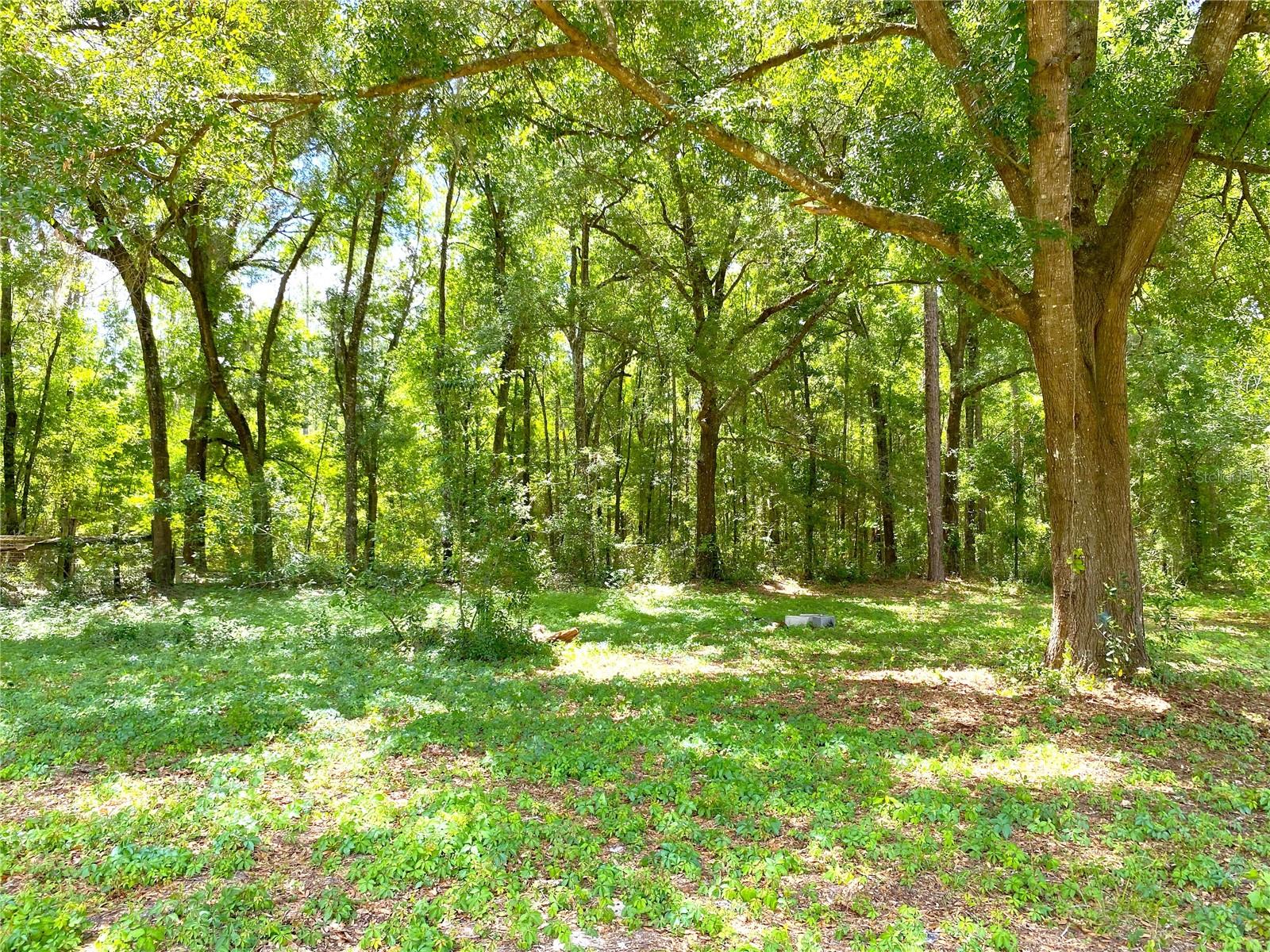 3731 SE HIGHWAY 41, MORRISTON, FL, 32668