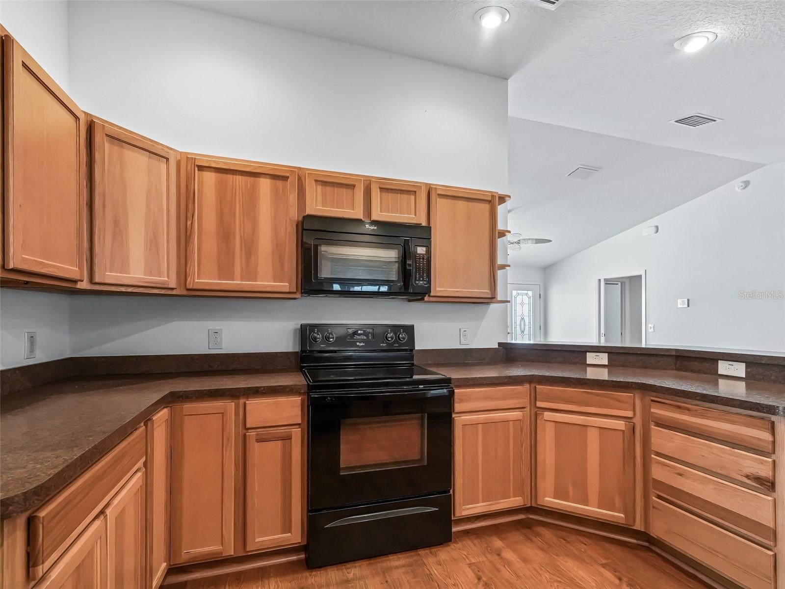 3710 FIR ST, THE VILLAGES, FL, 32163
