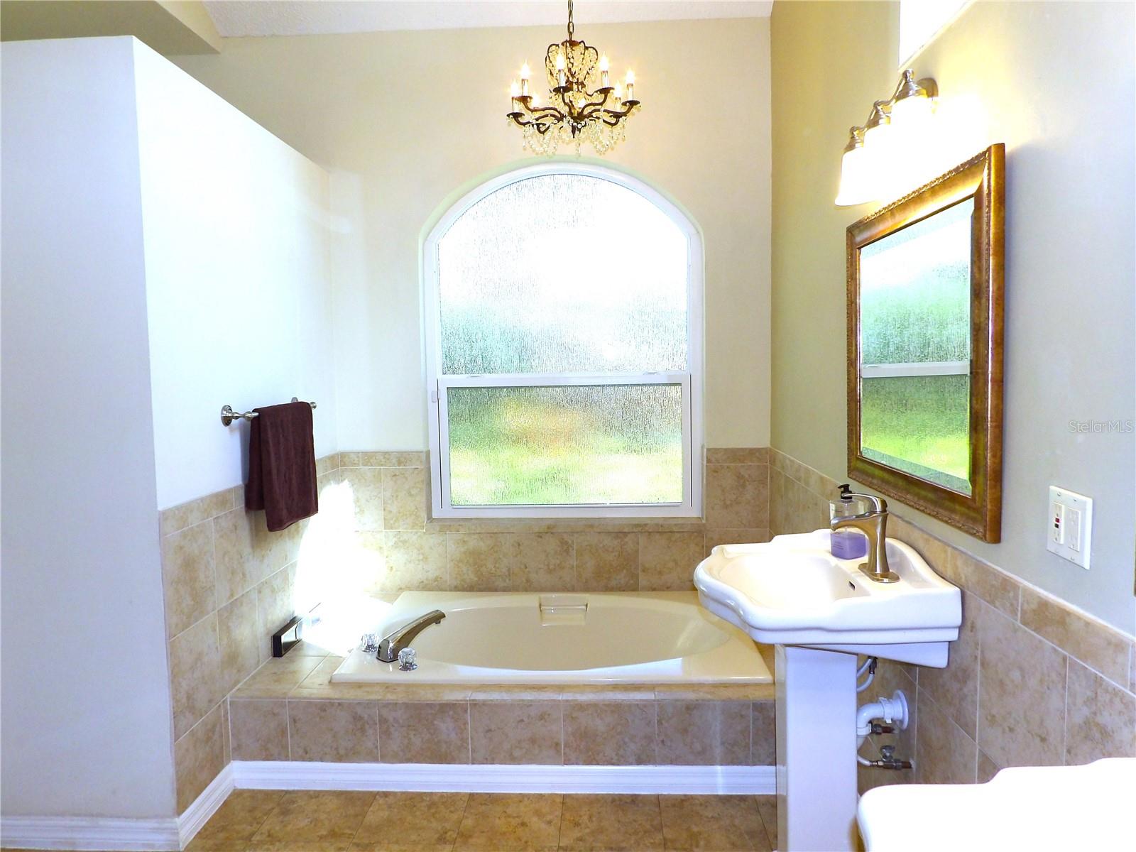 3023 SPRING OAK AVE, PALM HARBOR, FL, 34684