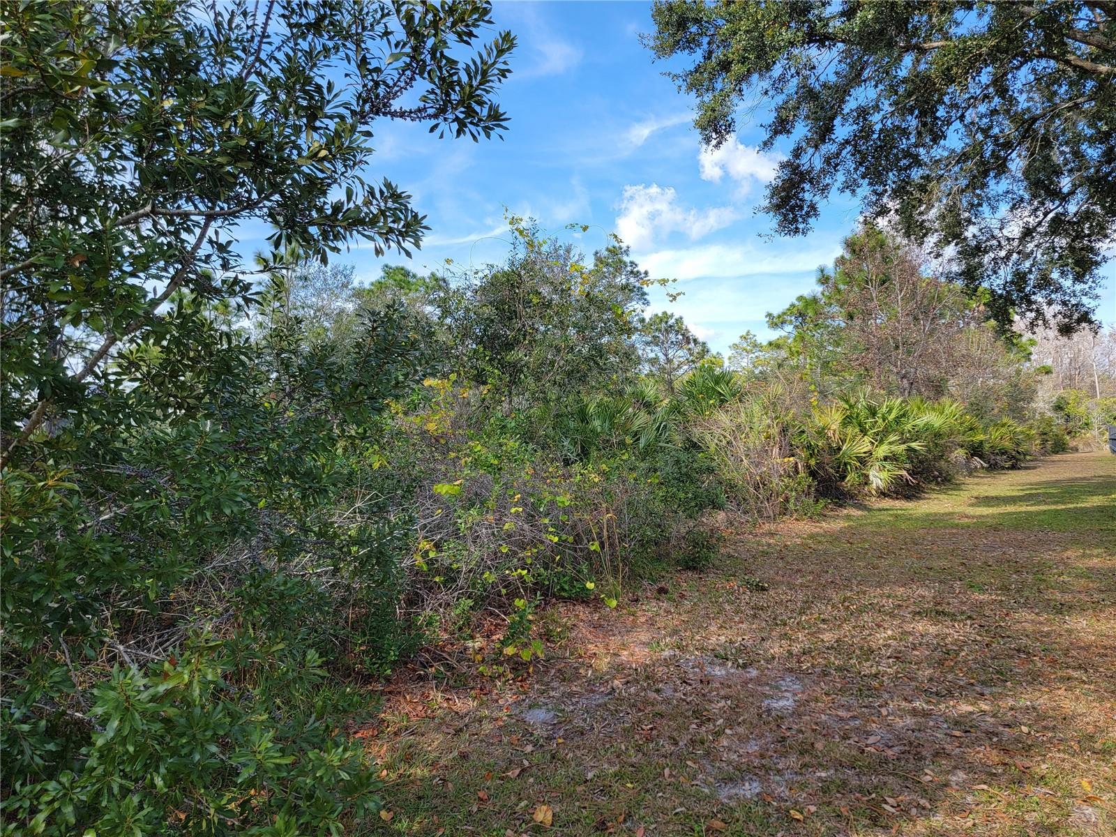 SABAL ST, ORLANDO, FL, 32833