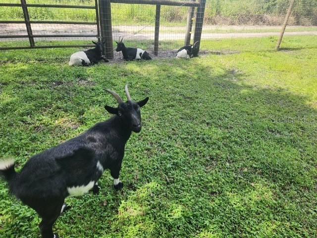 6614 PAPA GUY LN, PLANT CITY, FL, 33565