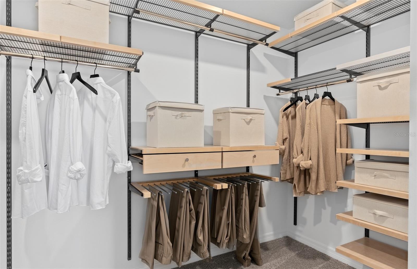 3446 ORANGE ROSE LOOP, APOPKA, FL, 32712