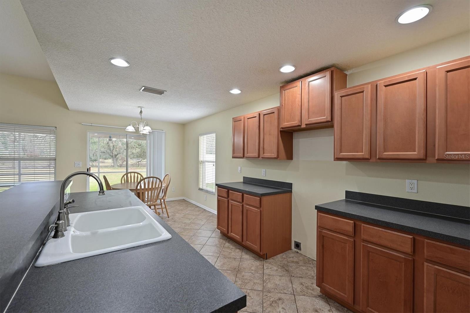 3911 DOUGLAS HILL PL, PARRISH, FL, 34219