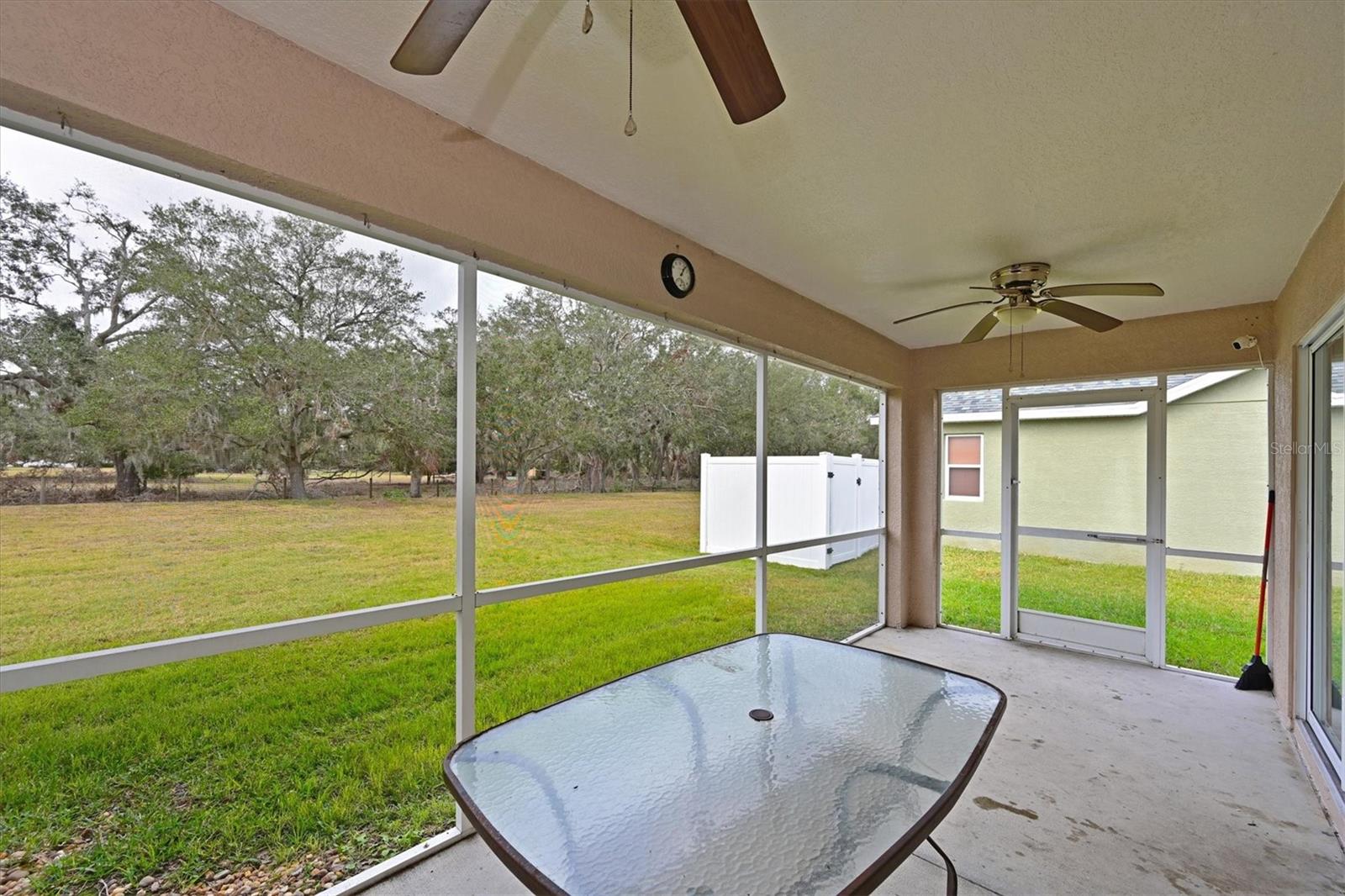 3911 DOUGLAS HILL PL, PARRISH, FL, 34219