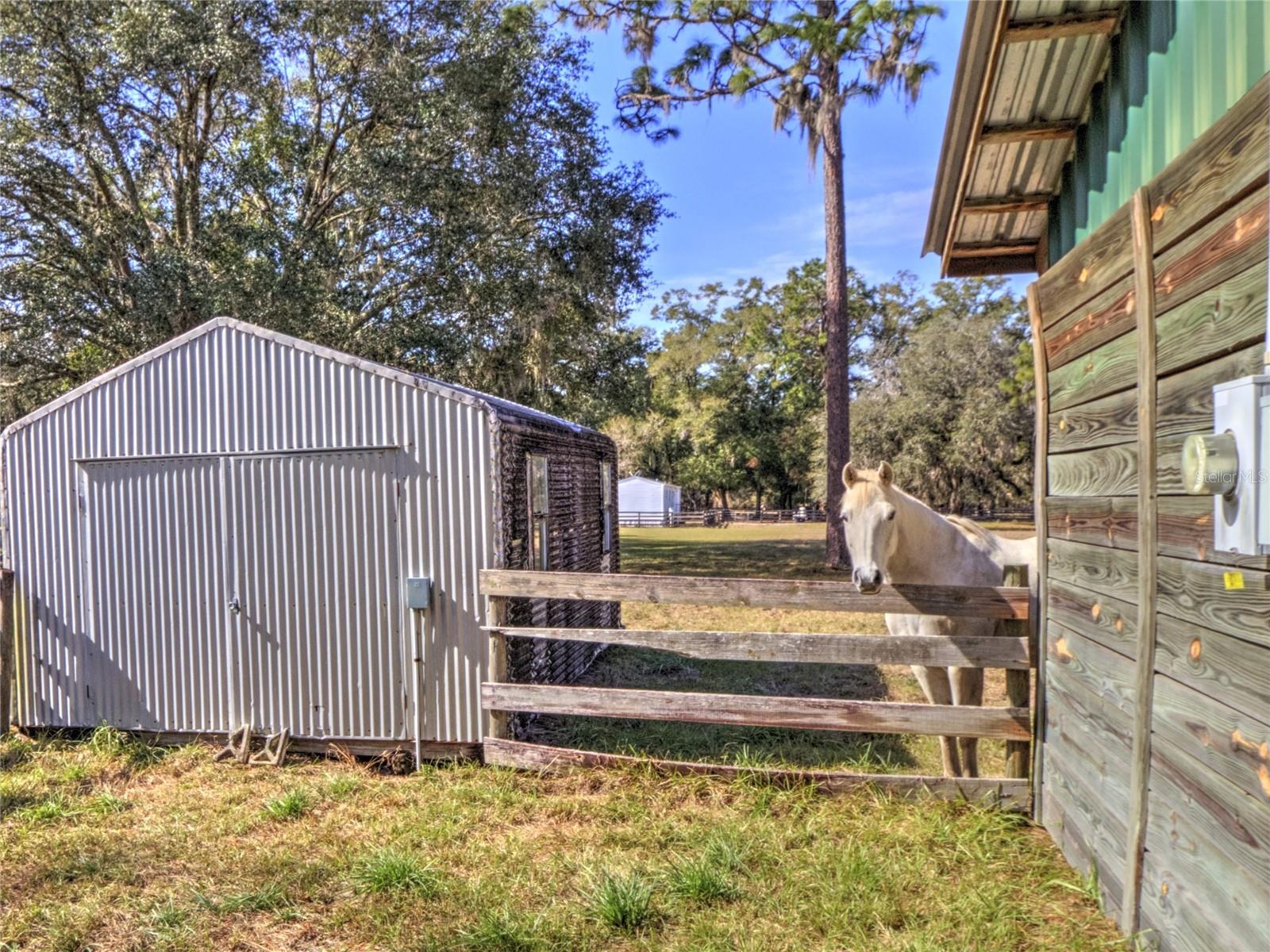 12550 SW 16TH AVE, OCALA, FL, 34473