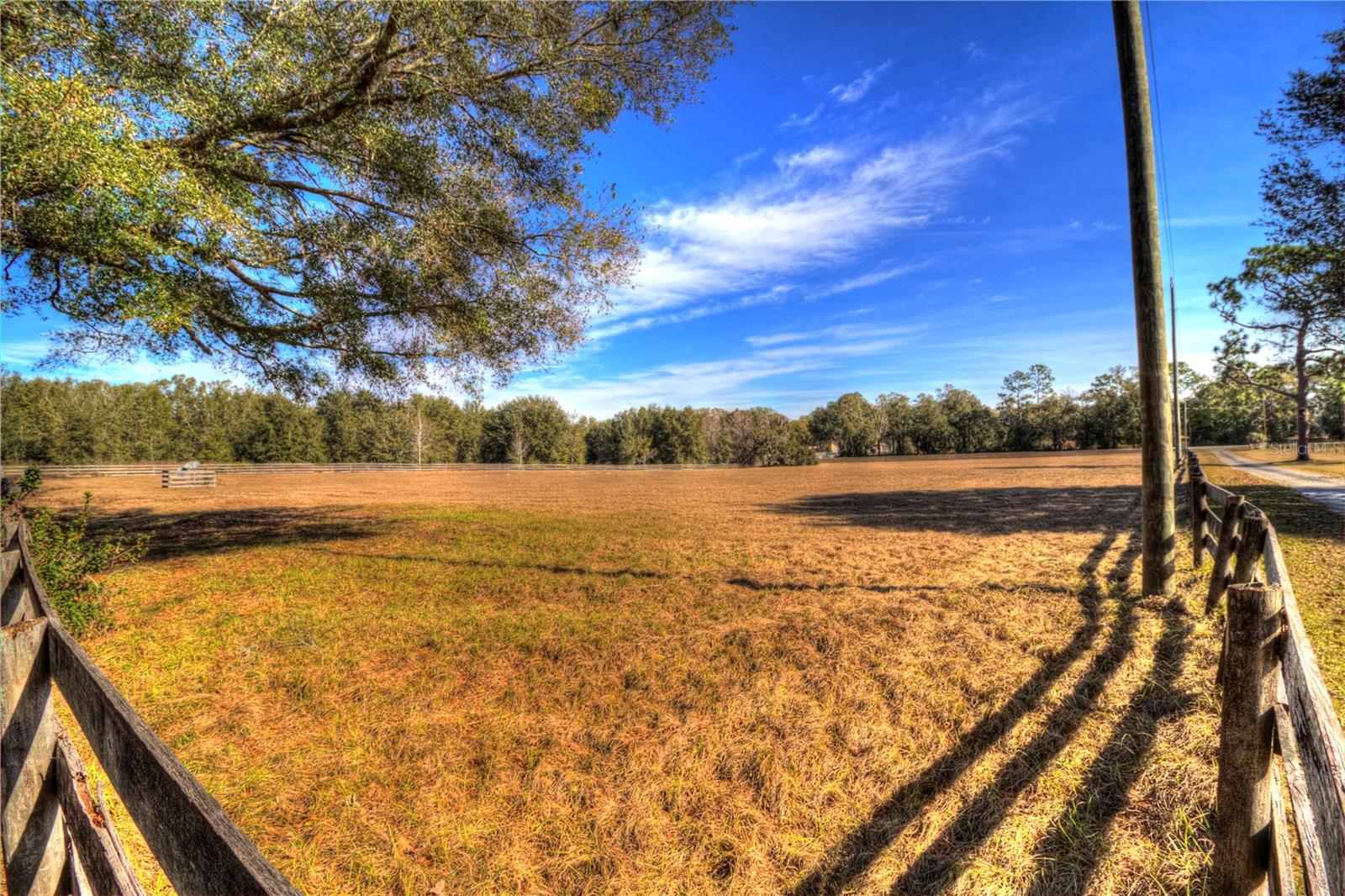 12550 SW 16TH AVE, OCALA, FL, 34473