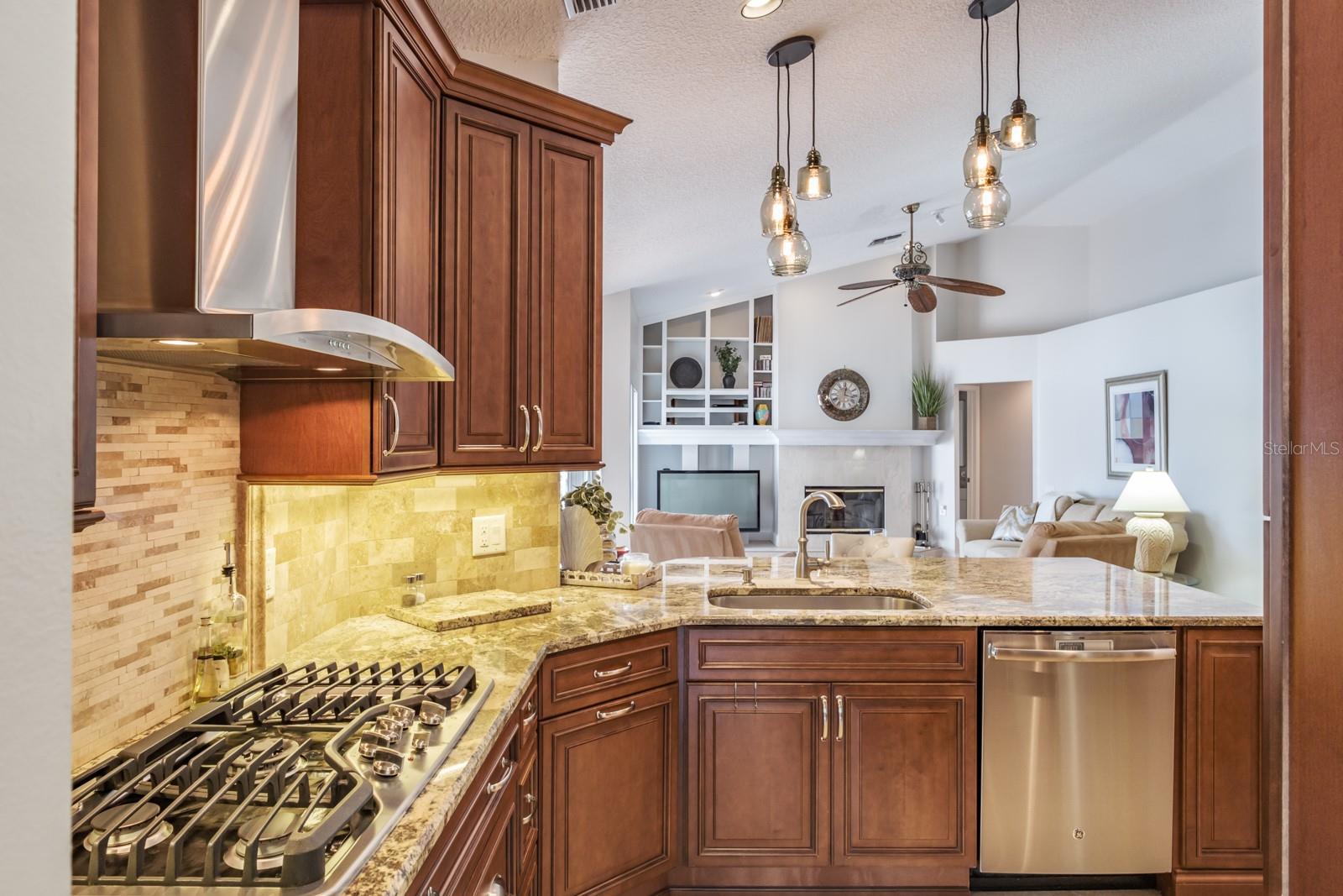 7702 NORTHAVEN PL, TRINITY, FL, 34655