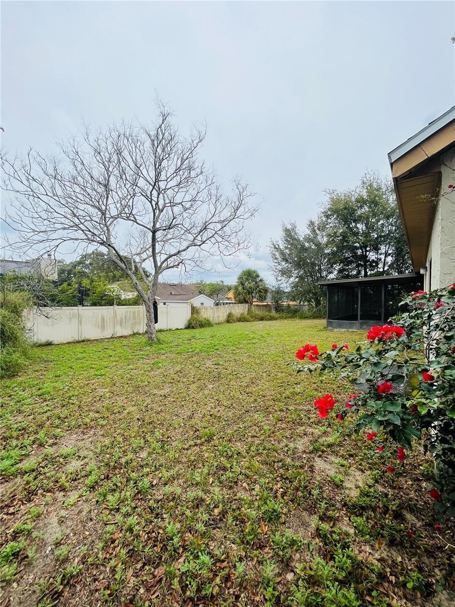 1748 BRIGHTMEADOW CT, ORLANDO, FL, 32818