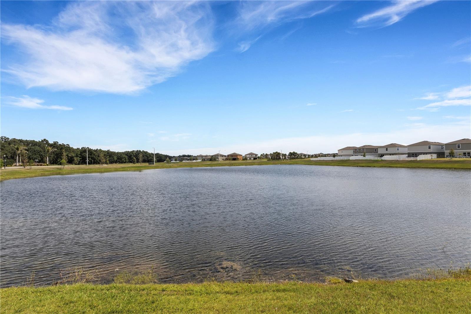 12977 TWIN BRIDGES DR, RIVERVIEW, FL, 33579