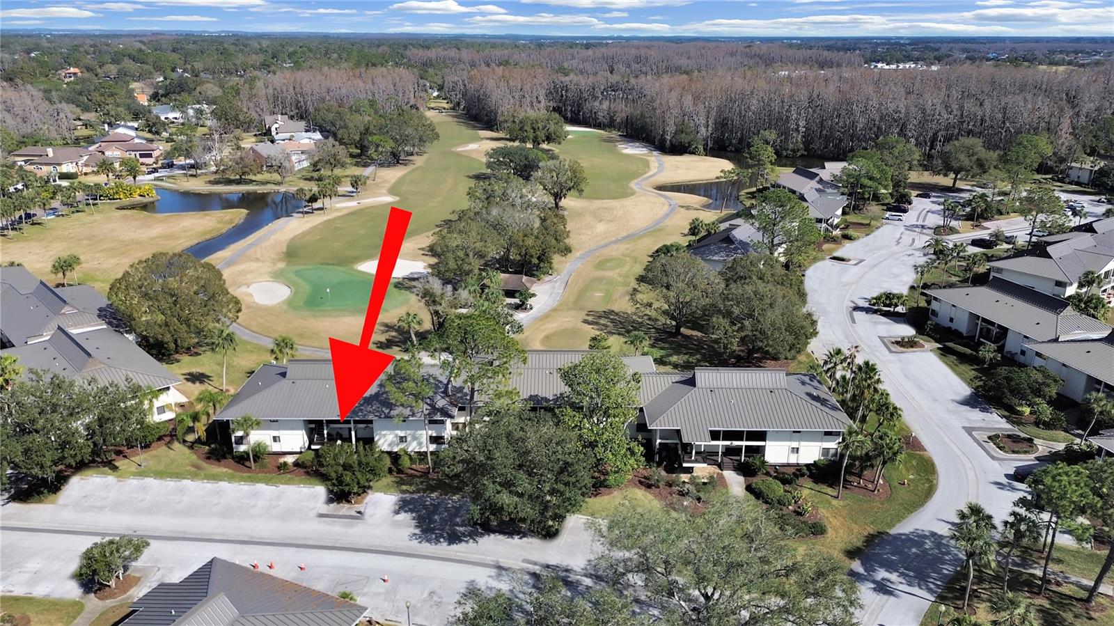 4946 MILL POND RD #3180, WESLEY CHAPEL, FL, 33543