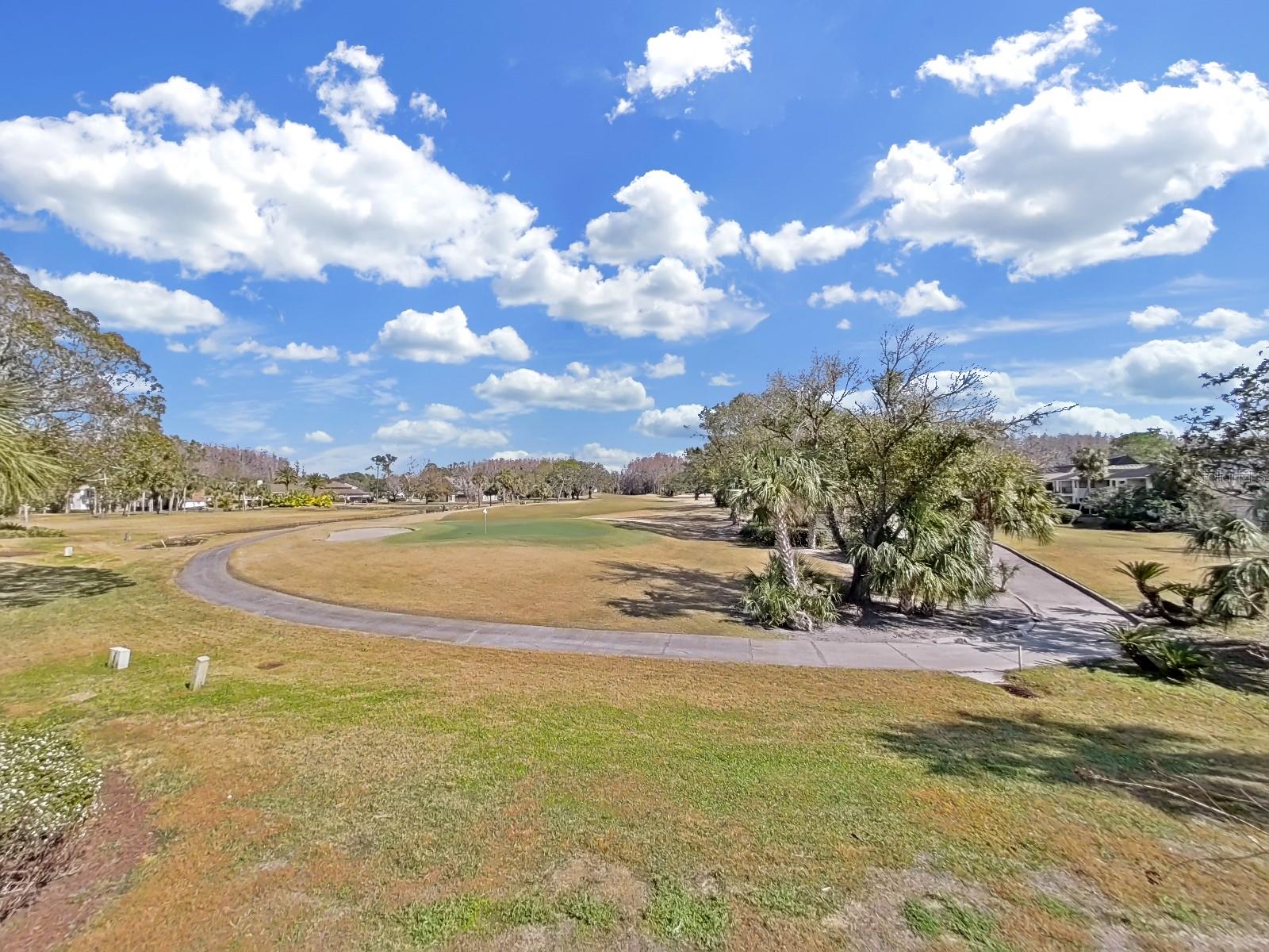 4946 MILL POND RD #3180, WESLEY CHAPEL, FL, 33543
