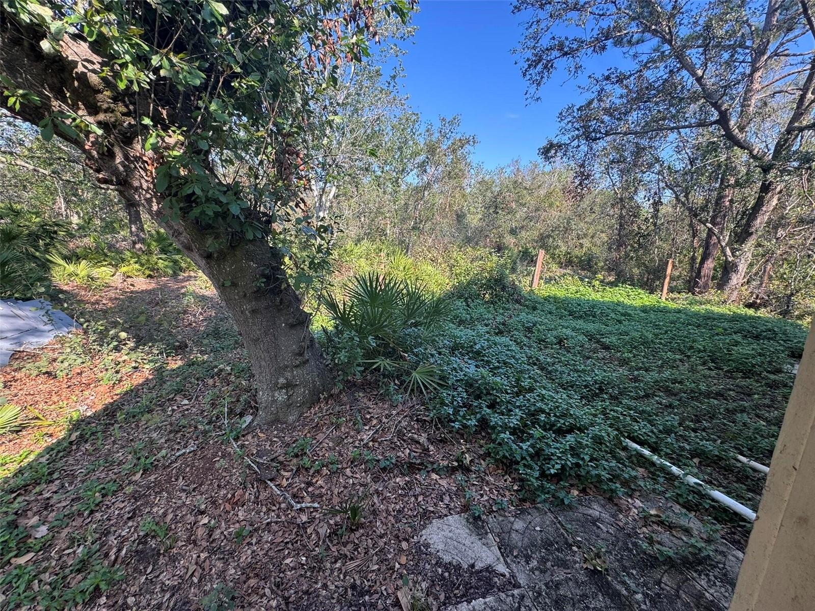 7027 HAWKINS RD, SARASOTA, FL, 34241