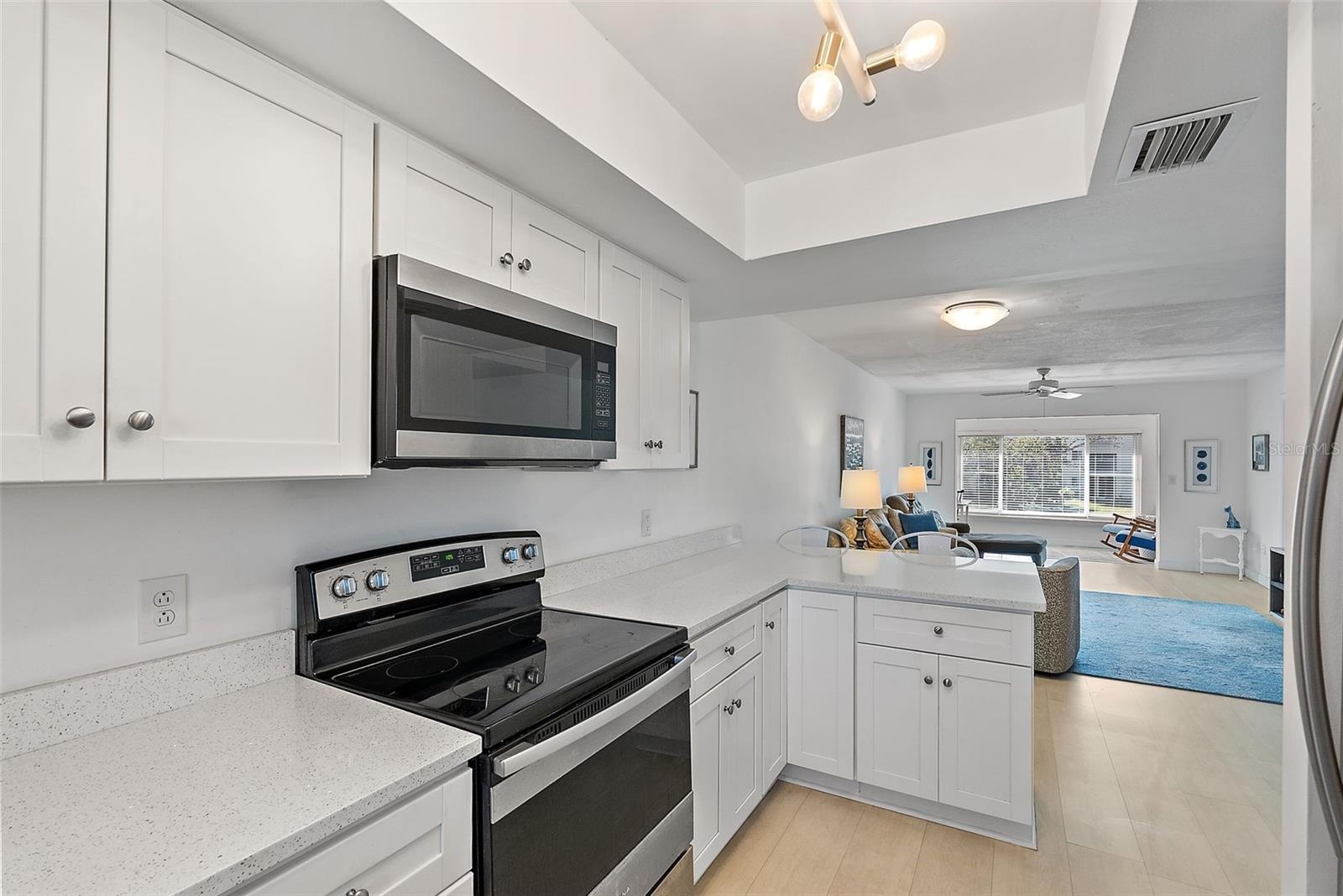 4520 OVERLOOK DR NE #238, ST PETERSBURG, FL, 33703