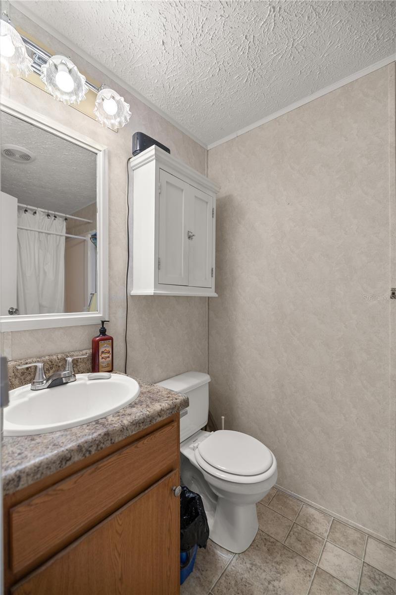 422 HITCHCOCK ST, LADY LAKE, FL, 32159