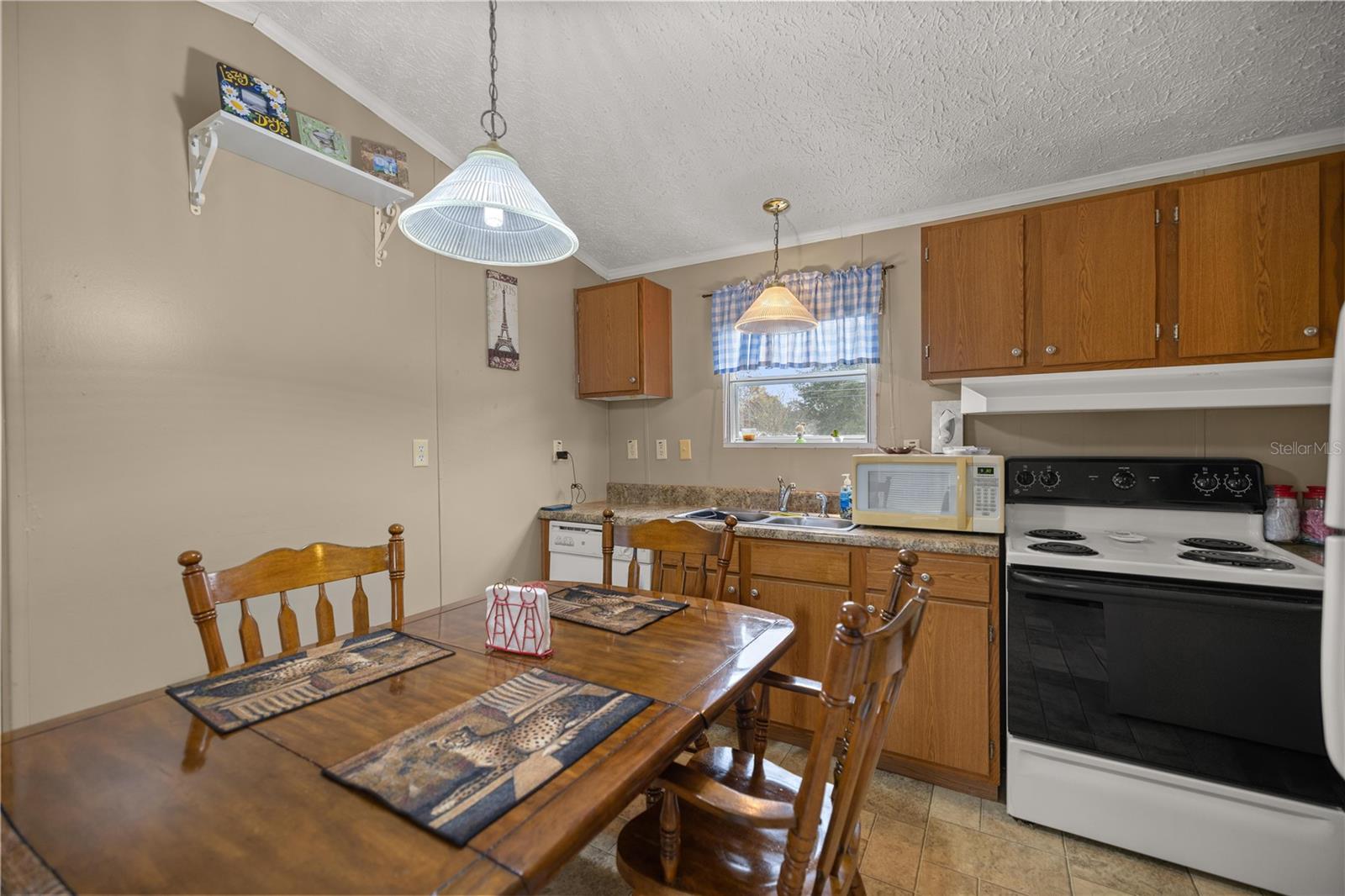 422 HITCHCOCK ST, LADY LAKE, FL, 32159