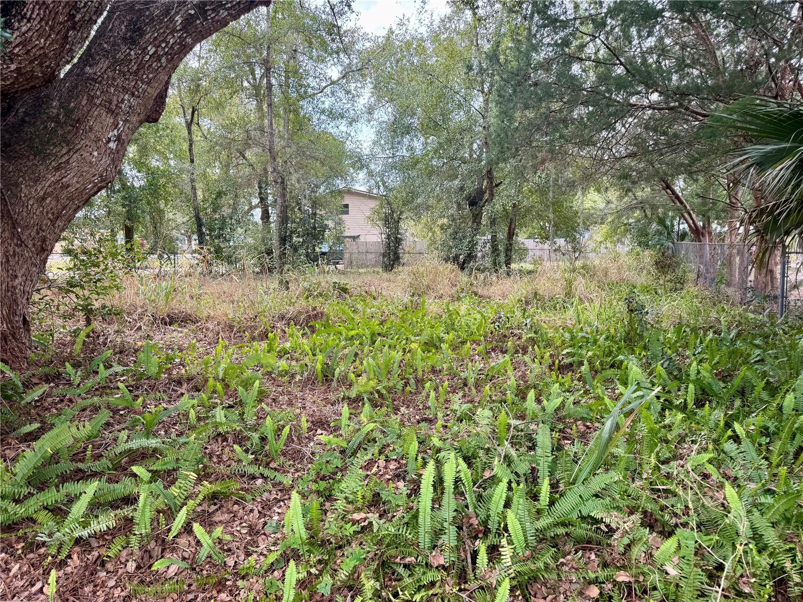 1098 S OLEANDER ST, LONGWOOD, FL, 32750
