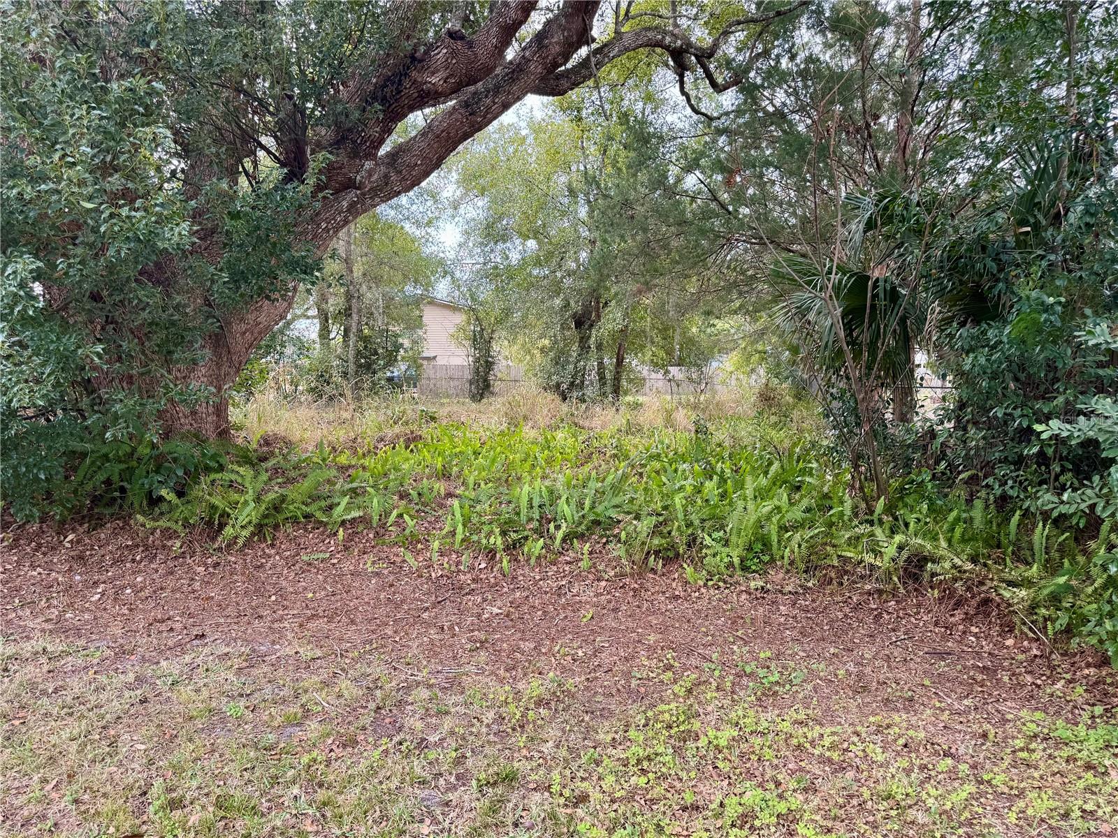 1098 S OLEANDER ST, LONGWOOD, FL, 32750