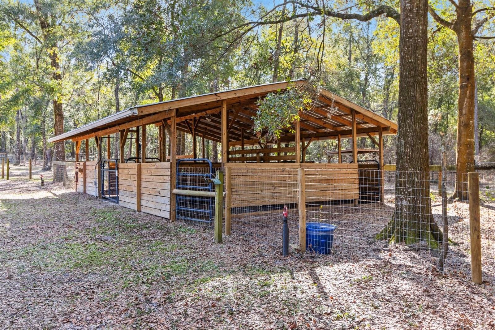 3300 E GRAPELEAF LN, INVERNESS, FL, 34452