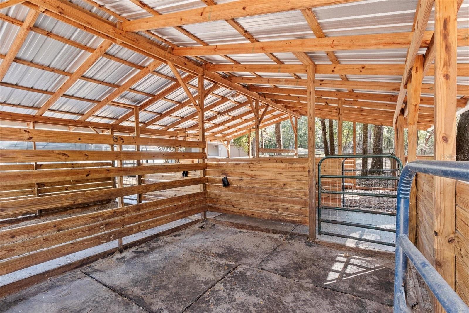 3300 E GRAPELEAF LN, INVERNESS, FL, 34452