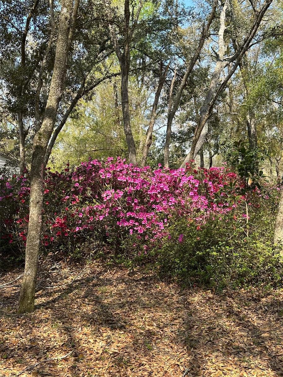 3300 E GRAPELEAF LN, INVERNESS, FL, 34452