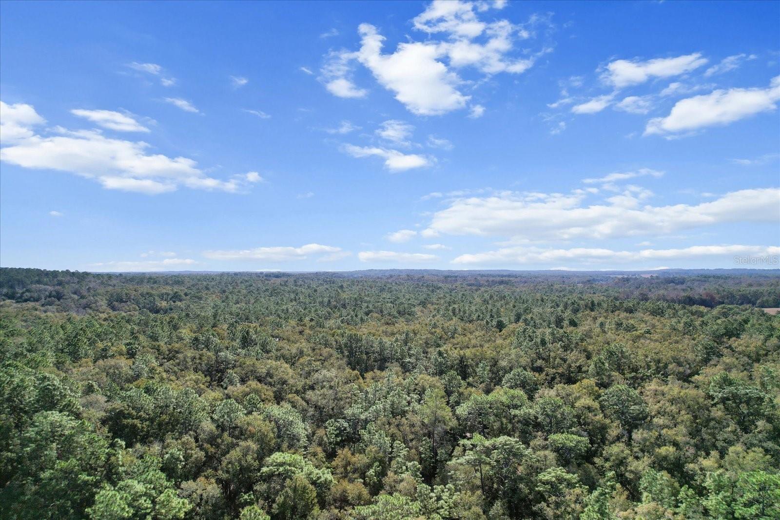 3300 E GRAPELEAF LN, INVERNESS, FL, 34452