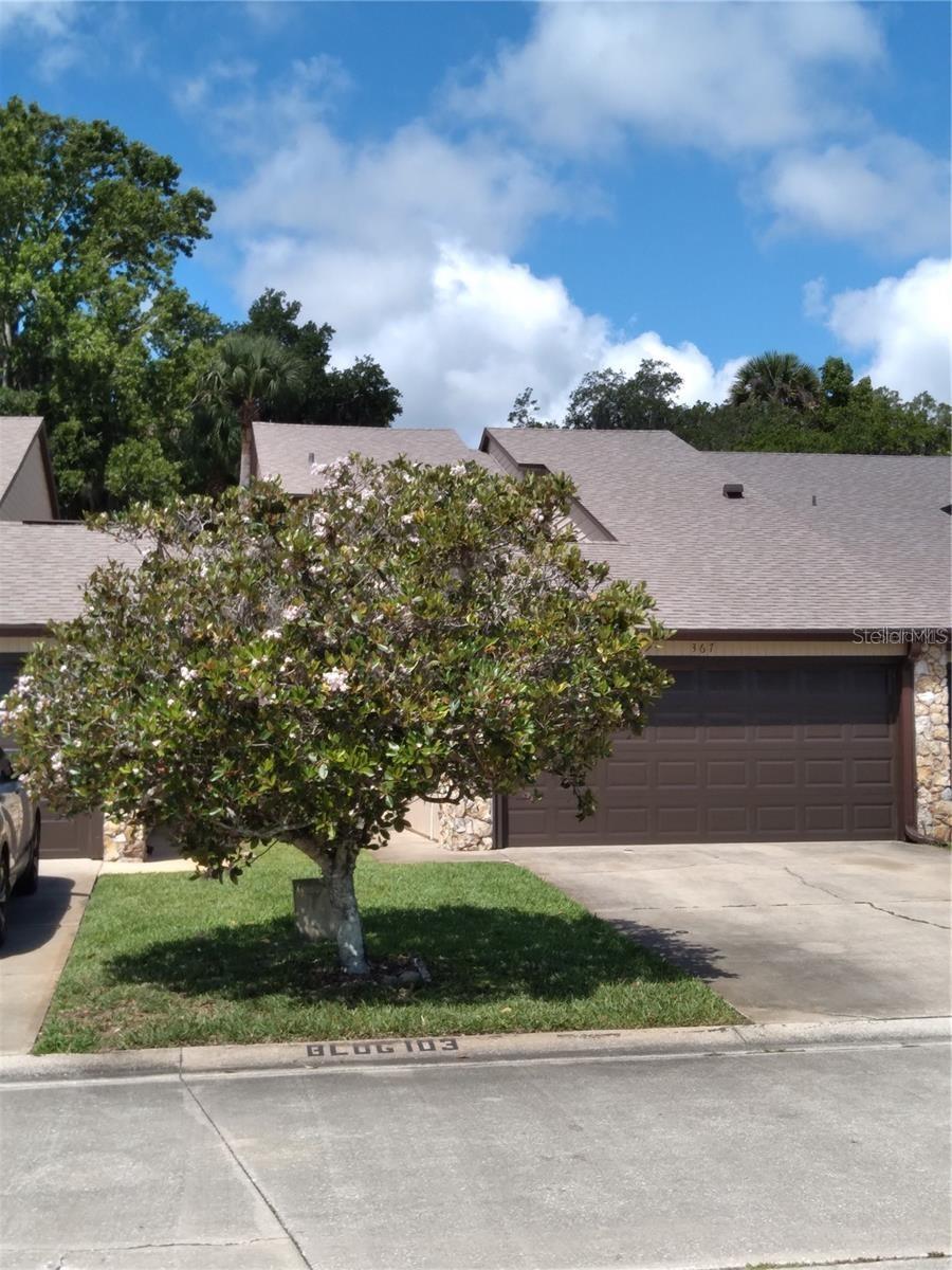 367 CASTLEWOOD LN, NEW SMYRNA BEACH, FL, 32168