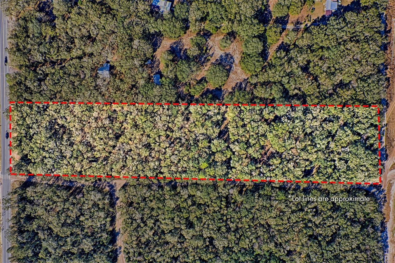 US-129, BELL, FL, 32619