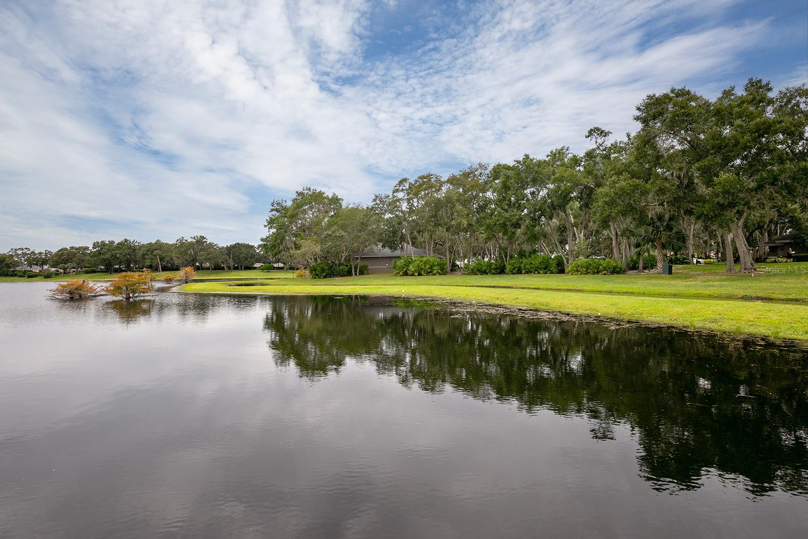 1467 CHESSINGTON CIR, LAKE MARY, FL, 32746