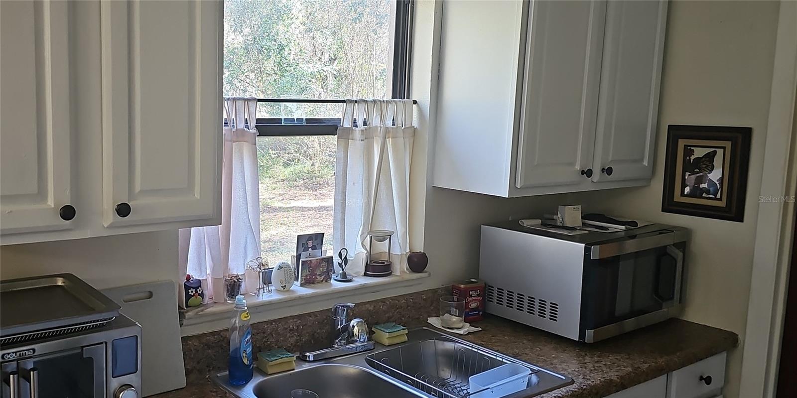 15906 DOUGLAS RD, MASCOTTE, FL, 34753