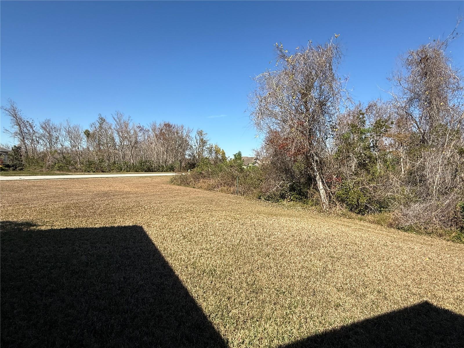 9730 ASBEL ESTATES ST, LAND O LAKES, FL, 34638