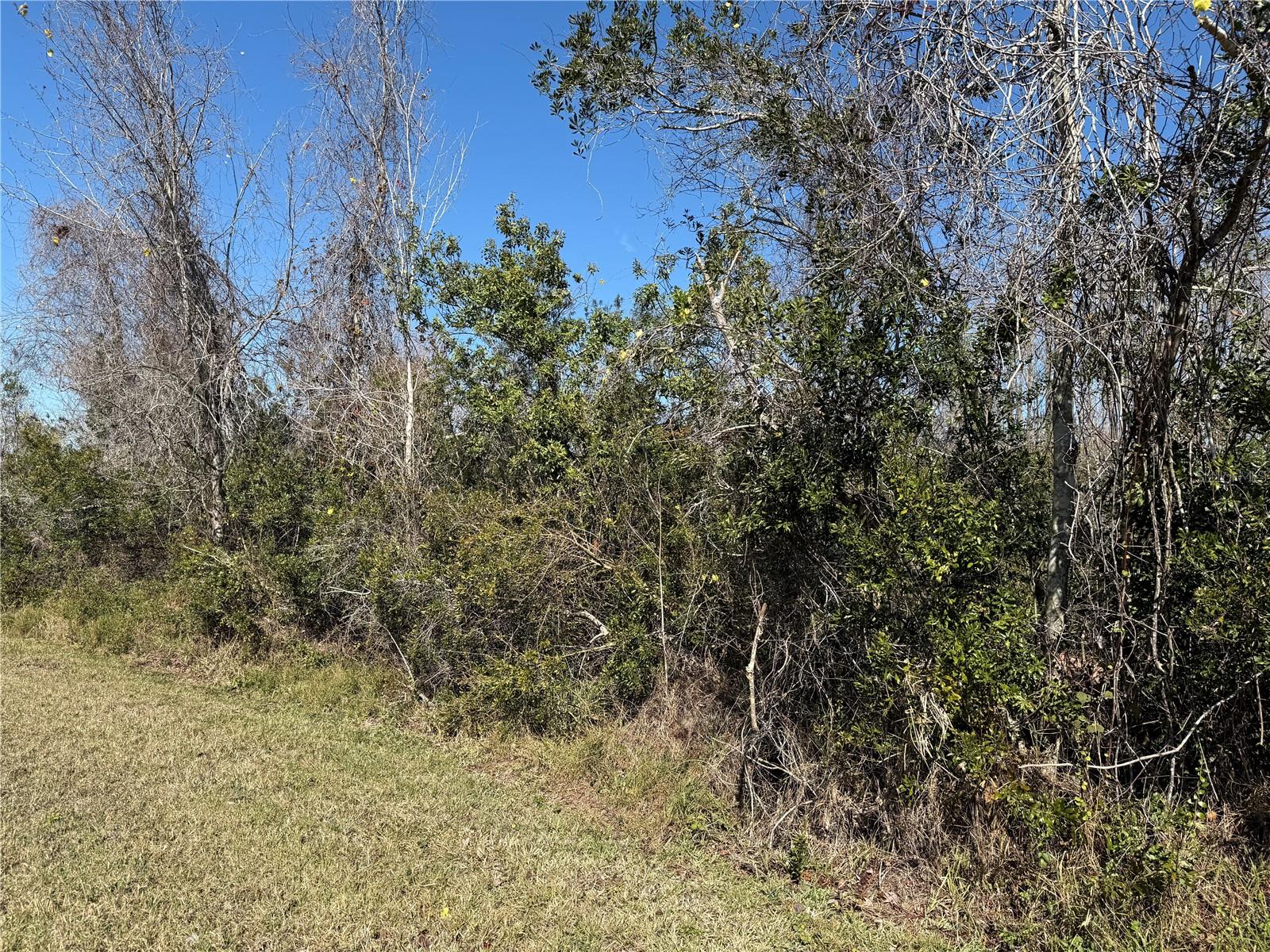 9730 ASBEL ESTATES ST, LAND O LAKES, FL, 34638