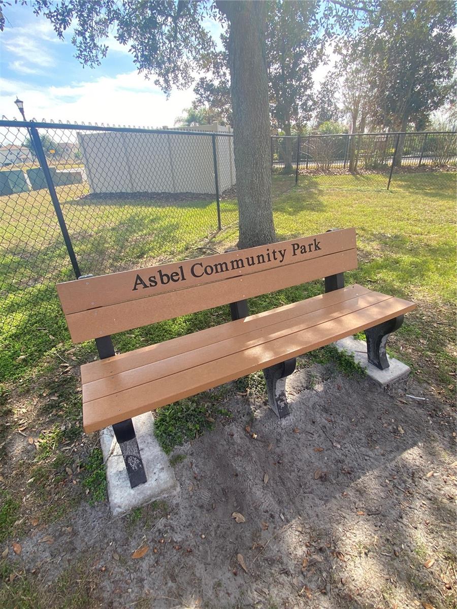 9730 ASBEL ESTATES ST, LAND O LAKES, FL, 34638