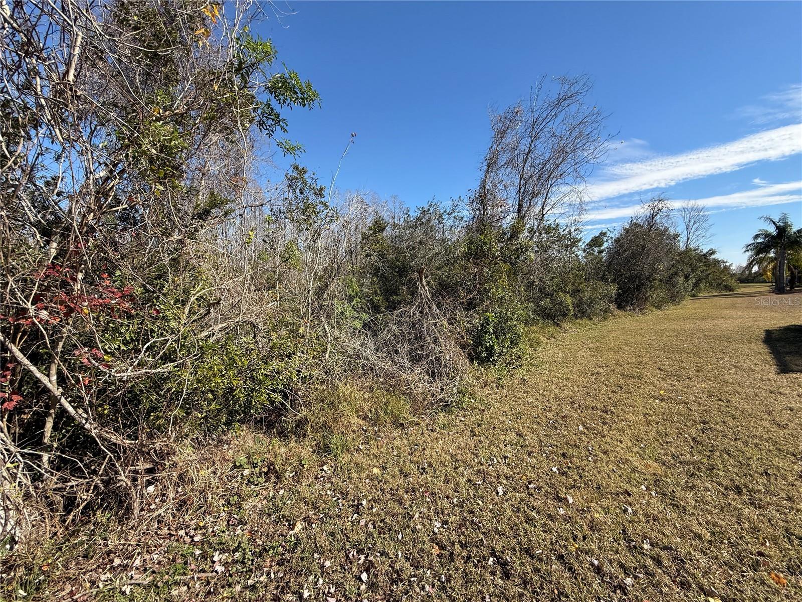 9730 ASBEL ESTATES ST, LAND O LAKES, FL, 34638