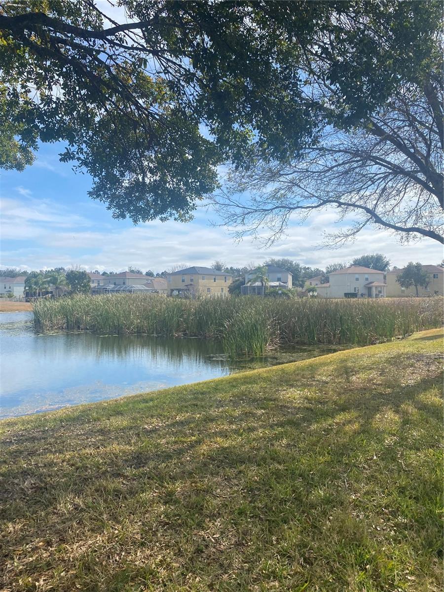 9730 ASBEL ESTATES ST, LAND O LAKES, FL, 34638