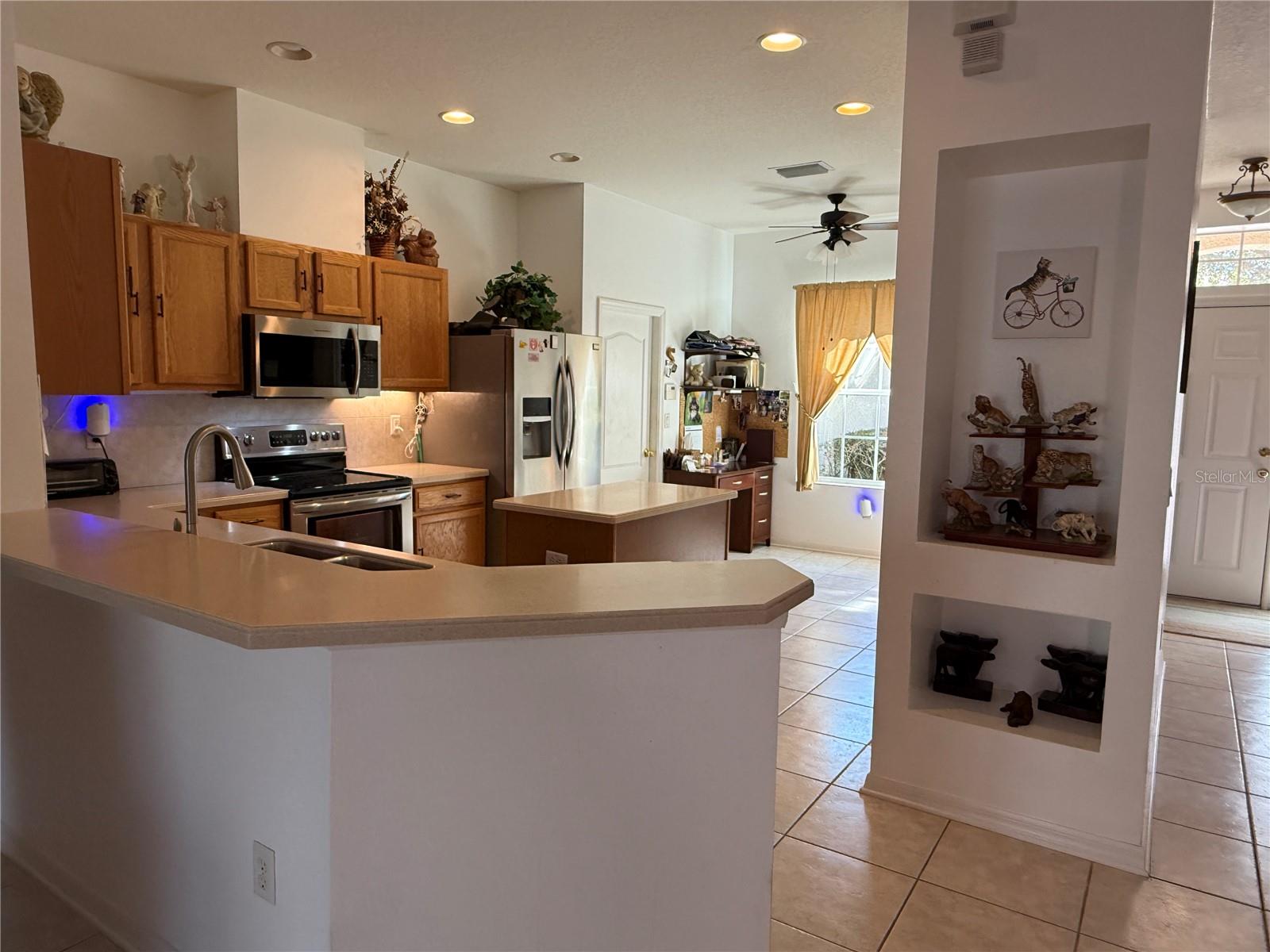 9730 ASBEL ESTATES ST, LAND O LAKES, FL, 34638