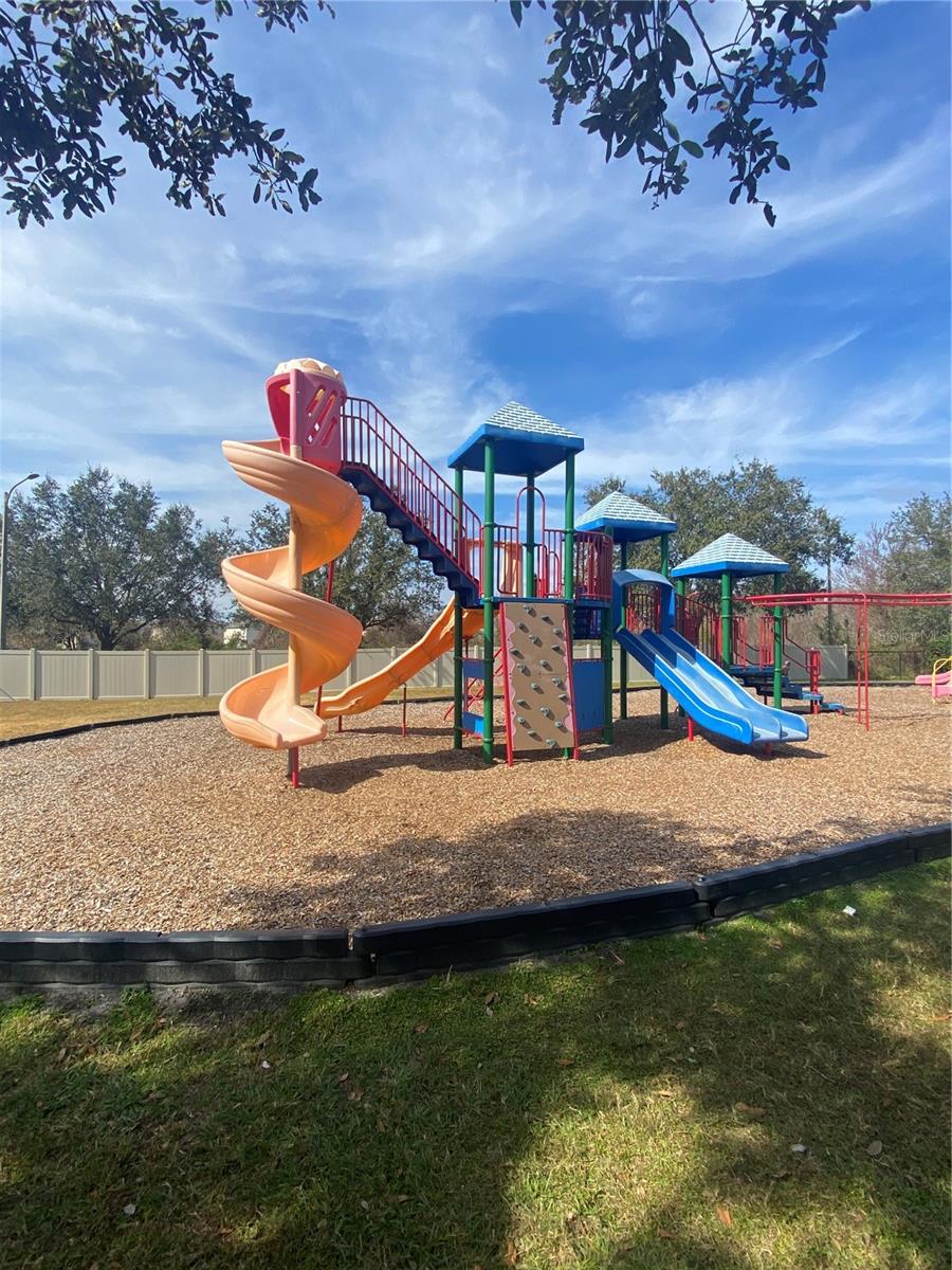 9730 ASBEL ESTATES ST, LAND O LAKES, FL, 34638