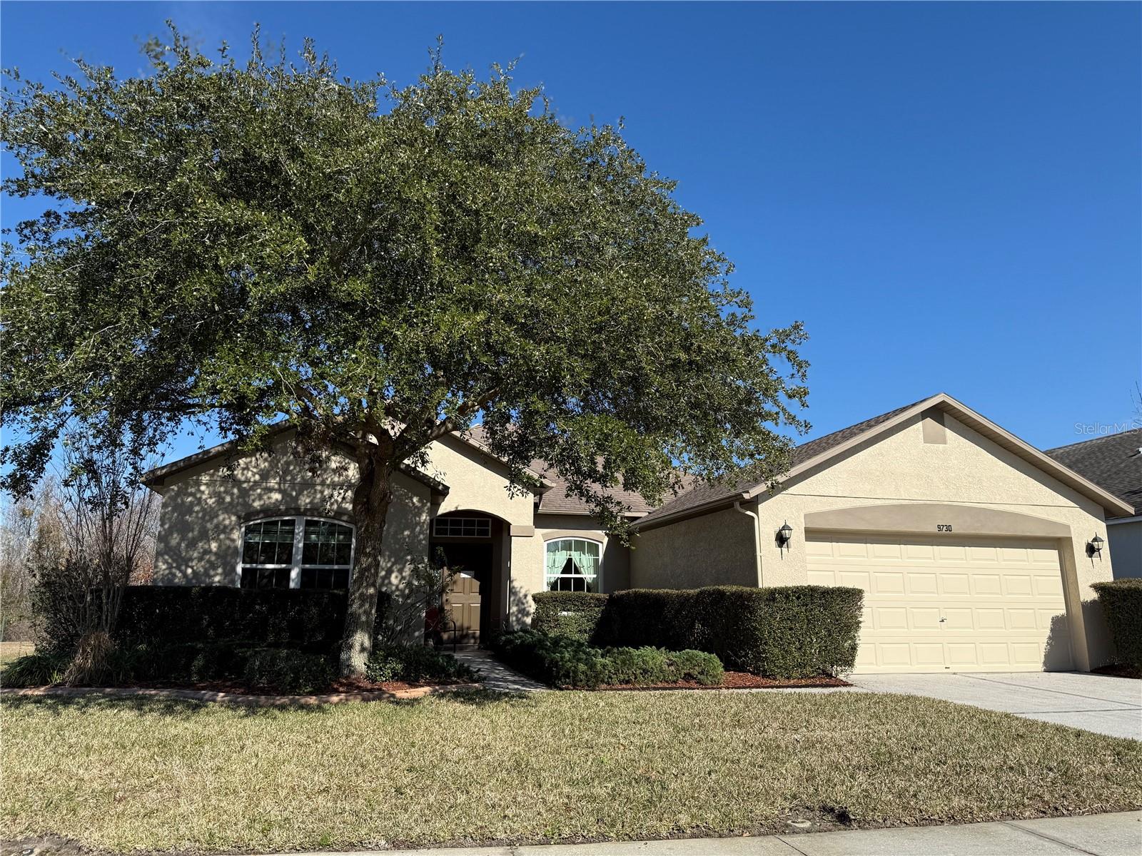 9730 ASBEL ESTATES ST, LAND O LAKES, FL, 34638