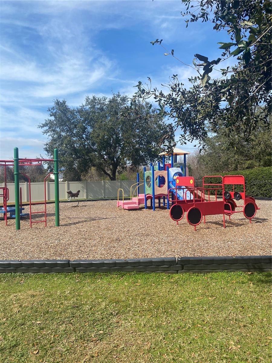 9730 ASBEL ESTATES ST, LAND O LAKES, FL, 34638