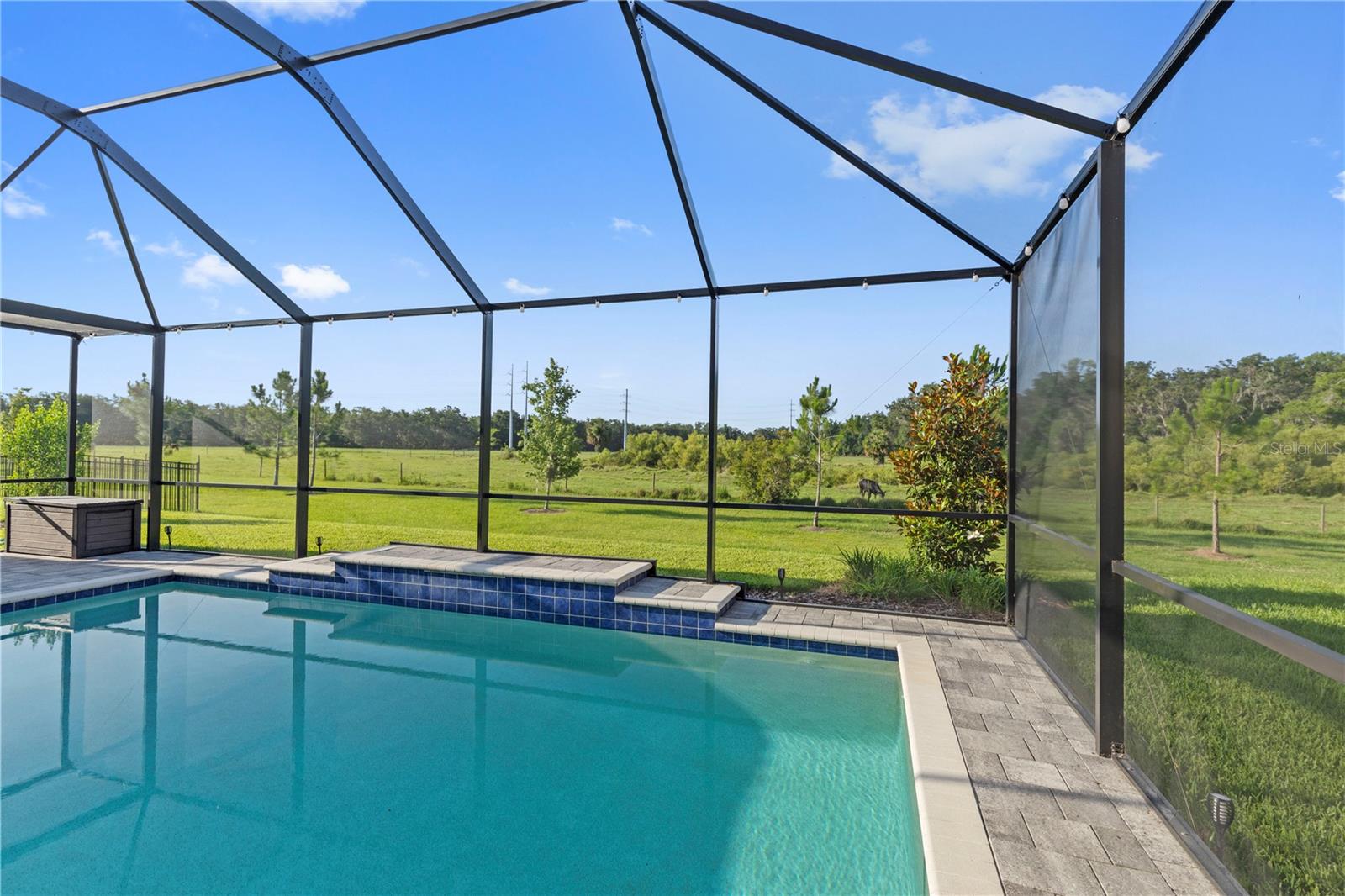 14215 SWISS BRIDGE DR, RIVERVIEW, FL, 33579